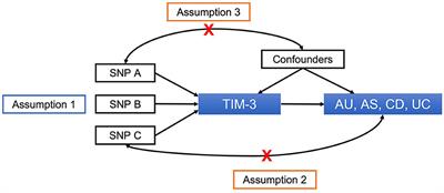 Association of TIM-3 with anterior uveitis and associated systemic immune diseases: a Mendelian randomization analysis